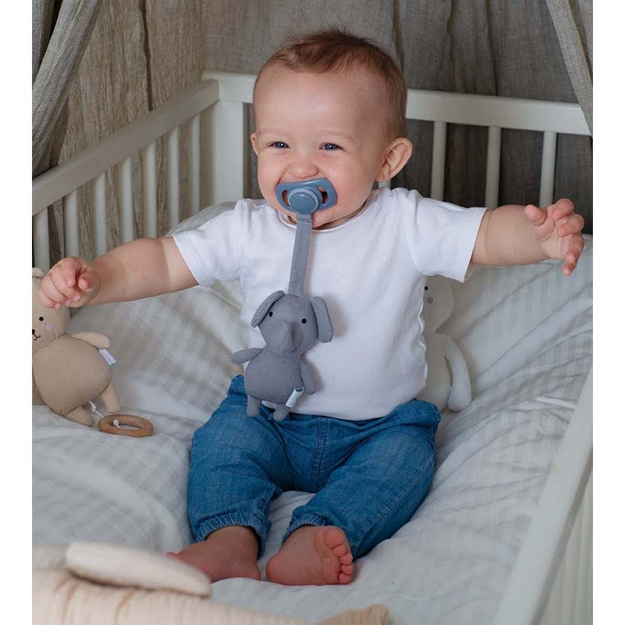 Jabadabado lutihoidja