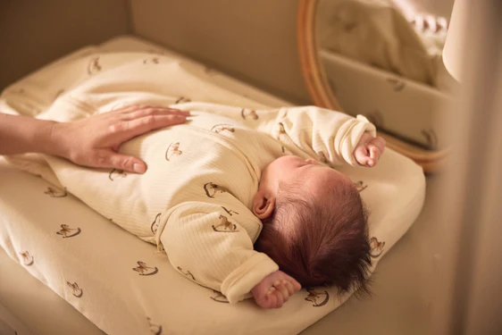 Jollein beebi magamiskott eemaldatavate varrukatega Nostalgic Ride