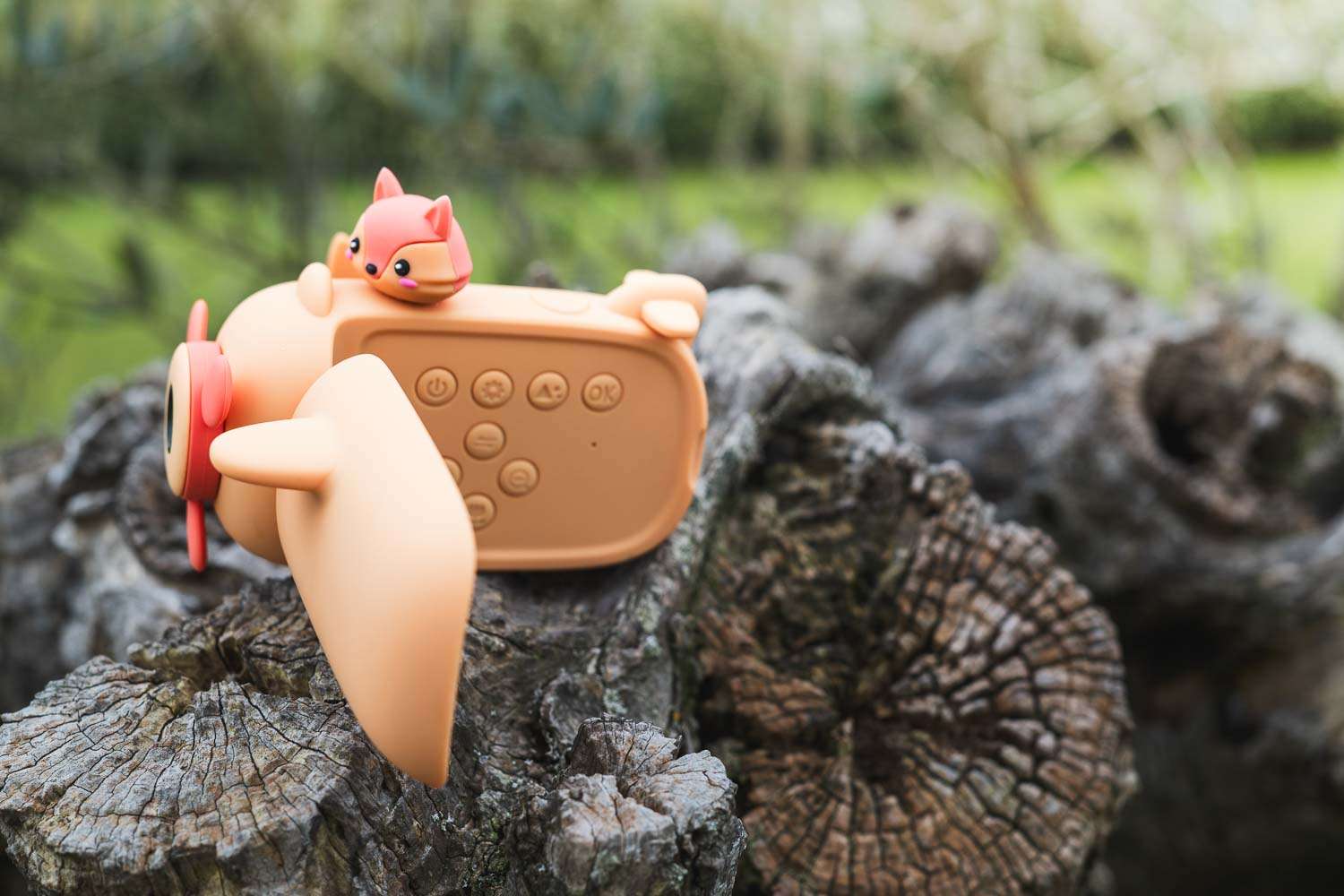 The ZooFamily videokaamera